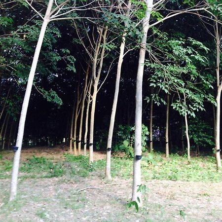 Mr Bao Homestay & Bungalows เกาะยาวน้อย ภายนอก รูปภาพ
