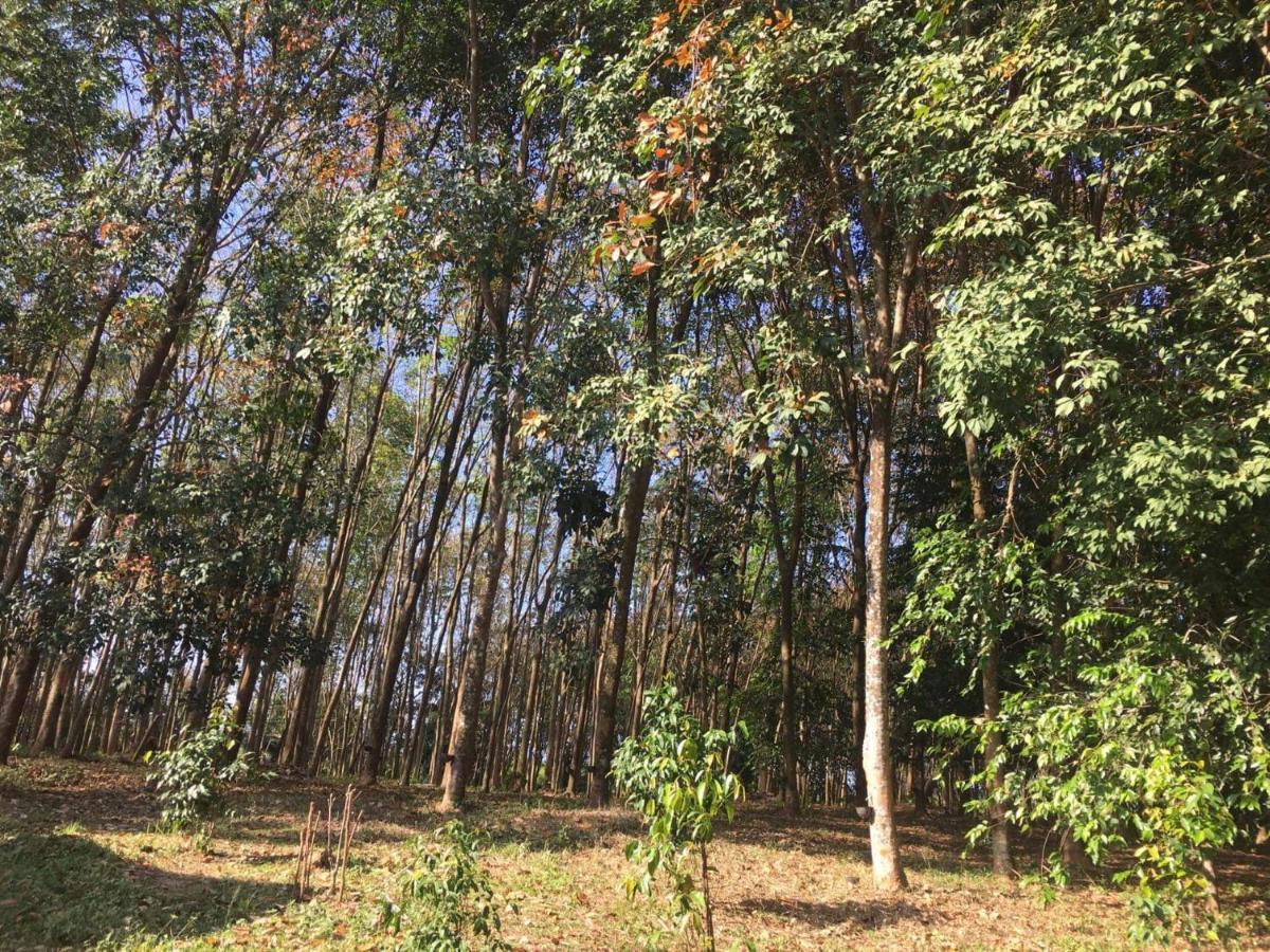 Mr Bao Homestay & Bungalows เกาะยาวน้อย ภายนอก รูปภาพ