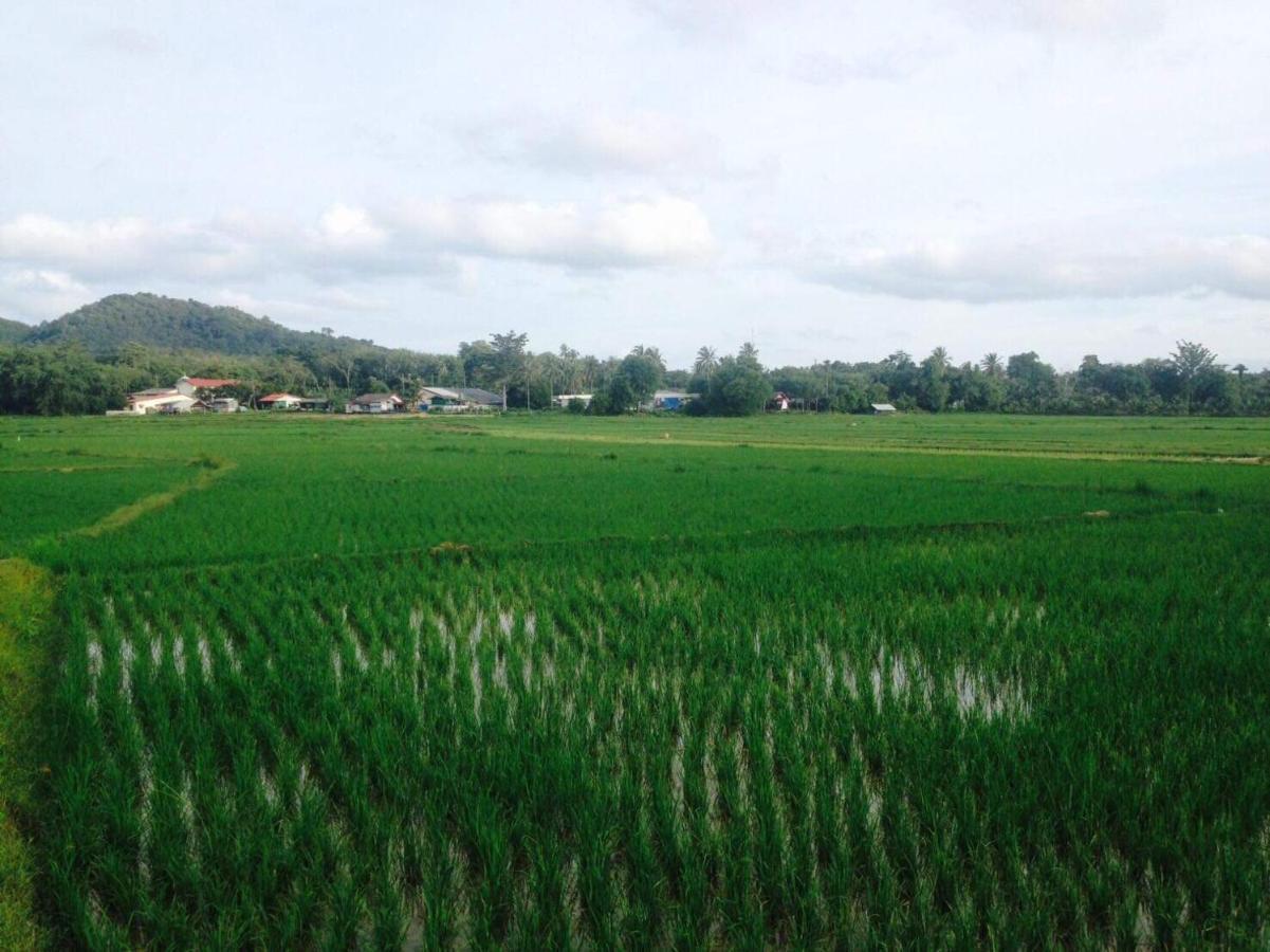 Mr Bao Homestay & Bungalows เกาะยาวน้อย ภายนอก รูปภาพ