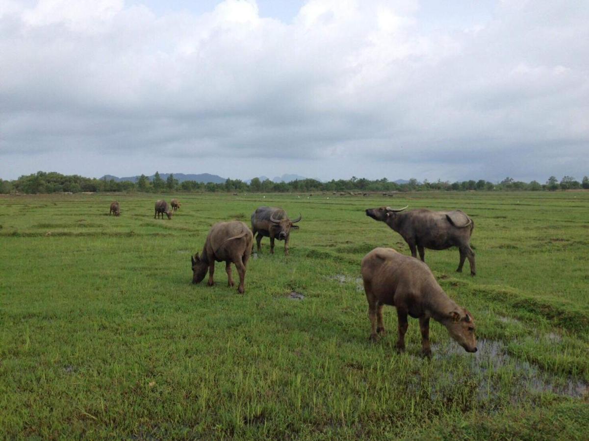 Mr Bao Homestay & Bungalows เกาะยาวน้อย ภายนอก รูปภาพ